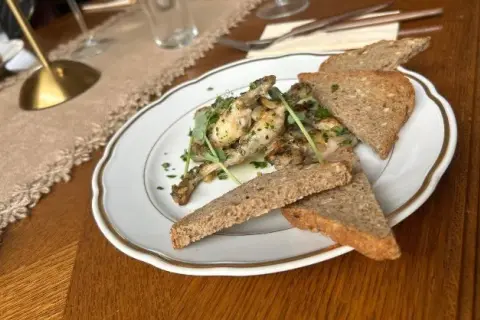 Co zjeść w Zielonej Górze? Odkryj najlepsze restauracje i dania