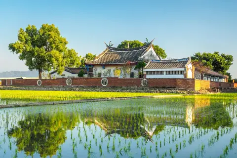 Un campo de arroz verde brillante refleja un edificio tradicional. Aquí es de donde viene el arroz, cultivado en agua.