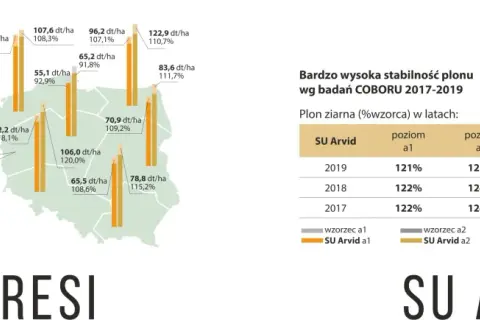 Wykres słupkowy porównujący plon zbóż hybrydowych SU Arvid i SU Baresi w badaniach COBORU.