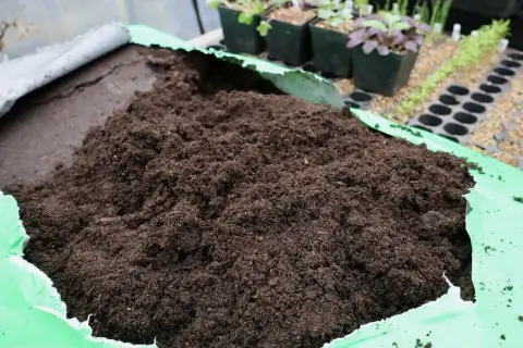 En stor hög med mörk blomjord ligger i en öppen grön plastpåse. Små plantor syns i bakgrunden.