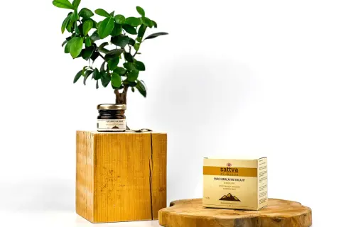 Sattva Ayurveda prezentuje czysty himalajski shilajit. Dowiedz się, shilajit co to jest i jakie ma właściwości.