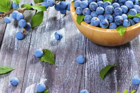 Frische Schlehen in einer Holzschale und auf einem rustikalen Holztisch, bereit für leckere Schlehen Rezepte.