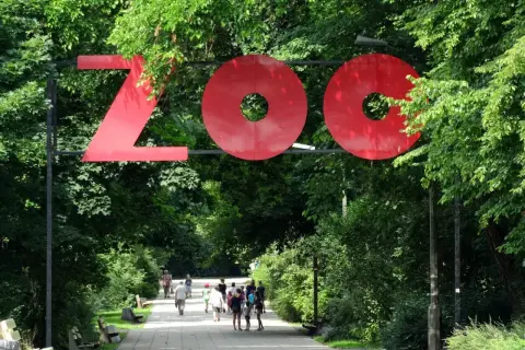 Wejście do największego zoo w Polsce. Ludzie spacerują alejką wśród zieleni.
