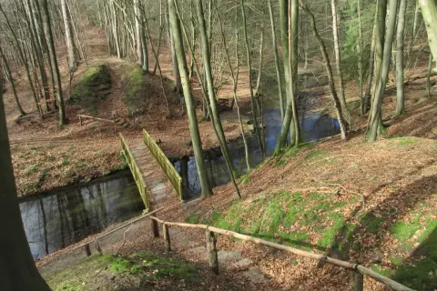 Ein Weg führt über eine Holzbrücke durch den Blankenberg Wald. Moosbedeckte Hänge und Laub säumen den Pfad.