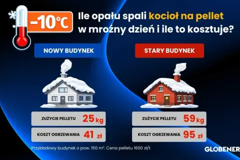 Ile kosztuje tona pelletu? Porównanie zużycia i kosztów ogrzewania nowego i starego budynku w mroźny dzień.