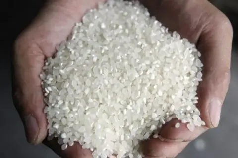 Manos sostienen un puñado de arroz blanco, listo para aprender como hacer arroz blanco suelto y perfecto.
