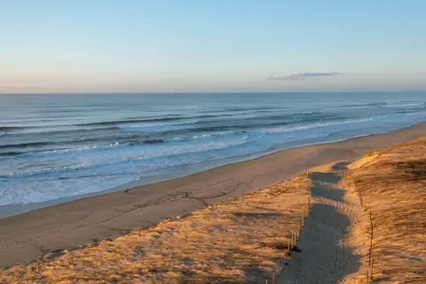 Extensa playa de arena dorada en las Landas, con olas rompiendo suavemente. Un camino bordeado de postes de madera guía hacia la costa, ideal para paseos con perros.