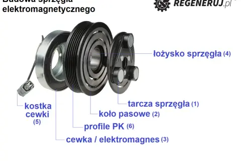 Rozłożone sprzęgło klimatyzacji: koło pasowe, tarcza, cewka/elektromagnes, łożysko. Często hałasujące sprzęgło klimatyzacji wymaga regeneracji.