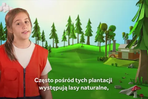 Jak powstaje papier film edukacyjny – zrozumienie dla dzieci