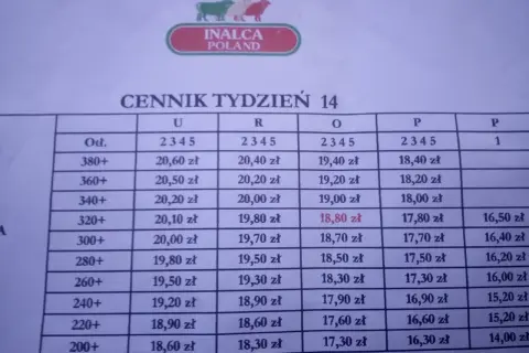 Cennik tygodnia 14 dla skupu bydła Sokołów. Ceny zależą od wagi zwierzęcia i klasy.