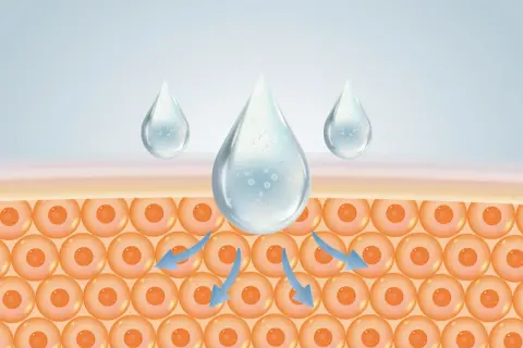 Feuchtigkeitstropfen dringen in die Haut ein. Naturkosmetik mit Hyaluron versorgt die Zellen intensiv.