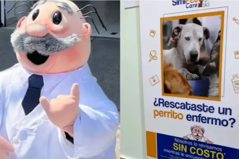Veterinario gratis: opciones para cuidar de tu mascota sin costo