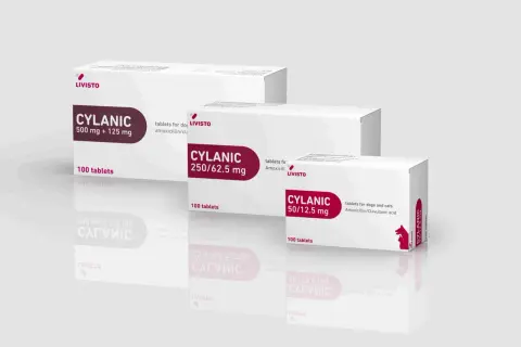 Opakowania leku CYLANIC dla psa i kota, różne moce: 500 mg + 125 mg, 250/62.5 mg, 50/12.5 mg.