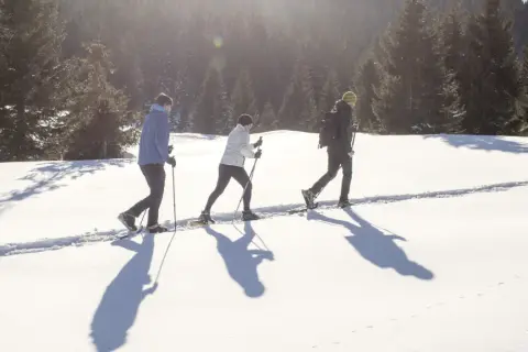 Tre persone camminano con le ciaspole su un sentiero innevato, godendosi le loro esperienze sulla neve in un bosco di abeti.