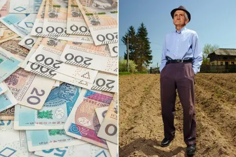 ZUS i KRUS: Rodzaje rent Czy wiesz, które wsparcie jest dla Ciebie?