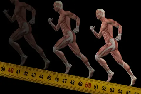 Anatomia biegu: zobacz, jakie mięśnie pracują przy bieganiu, od stóp po tułów. Mięśnie nóg i brzucha w akcji.