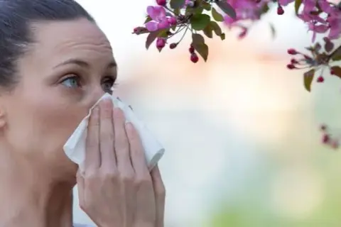 Alergia na pyłki: objawy, różnice z przeziębieniem i skuteczne sposoby