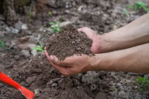 Dłonie trzymają garść ziemi, pokazując, co to jest gleba – życiodajny materiał dla roślin. Obok czerwona łopatka.