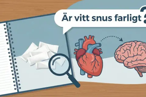 En anteckningsbok visar vitt snus, ett hjärta och en hjärna. Frågan "Är vitt snus farligt?" ställs, med pilar som indikerar en koppling mellan hjärtat och hjärnan.