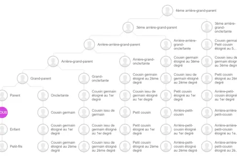Arbre généalogique montrant les liens de parenté, de "VOUS" à des cousins éloignés, illustrant l'origine Kienast.