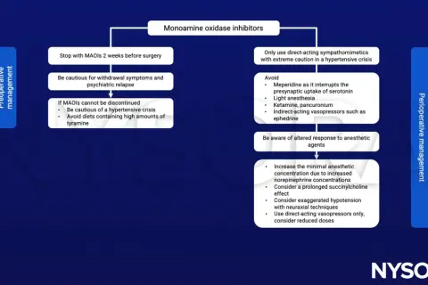 Schema zu MAO-Hemmern: Präoperative Maßnahmen (Stopp 2 Wochen vor OP, Vorsicht bei Entzug/Rückfall, hypertensive Krise vermeiden) und perioperative (Vorsicht bei Sympathomimetika, Medikamentenwahl, Anästhesie).