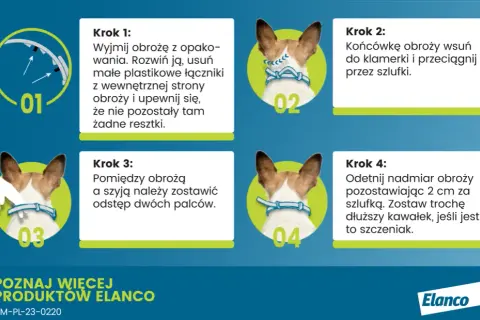 Jak działa obroża Foresto i jak skutecznie chroni przed pasożytami