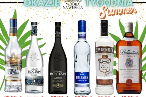 Gdzie najtaniej kupić wódkę? Oto miejsca z najlepszymi cenami