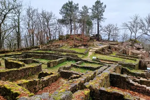 Ruinas de **Santa Mariña de Augas Santas**, con muros de piedra cubiertos de musgo y hojas secas, rodeadas de árboles desnudos bajo un cielo nublado.