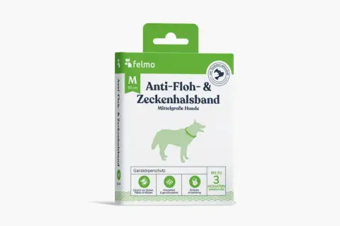 Verpackung eines felmo Anti-Floh- & Zeckenhalsbands für mittelgroße Hunde. Das giftige Flohhalsband schützt bis zu 3 Monate.