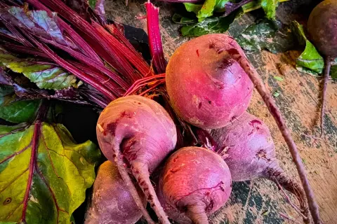 Frische Rote Bete Knollen mit grünen Blättern und roten Stielen liegen auf einer Holzoberfläche.