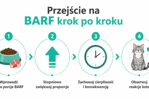 Przejście na dietę BARF dla kota: zacznij od małych porcji, stopniowo zwiększaj, bądź cierpliwy i obserwuj reakcje pupila.