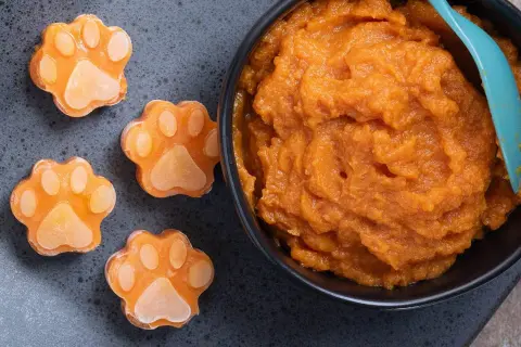 Söta hundtassar av pumpa, perfekt för ett nyttigt hundgodis recept. En skål med pumpapuré och en blå sked.