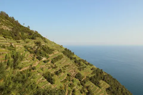 Terrazzamenti Liguria scolpiti nella roccia, vigneti a picco sul mare blu, un paesaggio mozzafiato.