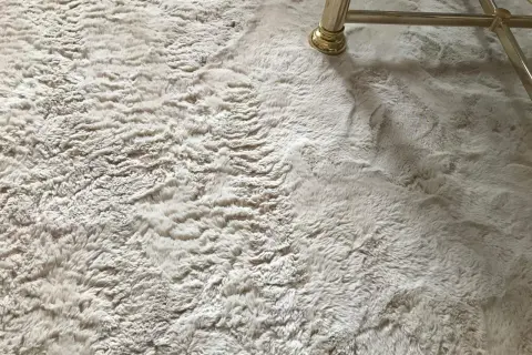 Ein heller, flauschiger Teppich mit einem goldenen Möbelfuß. So wird der **Teppich wieder flauschig machen** zum Kinderspiel!
