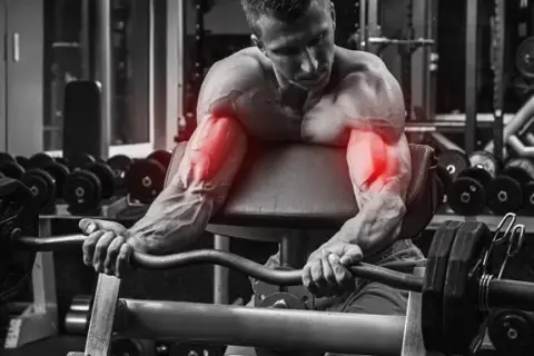 Ile razy w tygodniu ćwiczyć biceps? Dwa treningi to złoty standard!