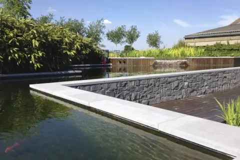 Un bassin avec un poisson rouge, des plantes luxuriantes et une cascade. Idéal pour savoir comment éclaircir l'eau d'un bassin à poissons.
