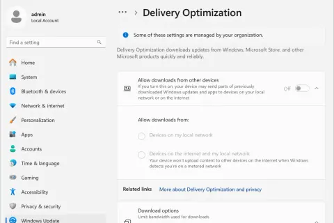 Ustawienia optymalizacji dostarczania w Windows 10. Możesz tu zarządzać pobieraniem aktualizacji, co wpływa na wydajność dysku.