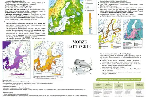 Co żyje w Bałtyku? Mapa pokazuje faunę i florę Bałtyku, w tym ryby, ssaki, ptaki i rośliny.