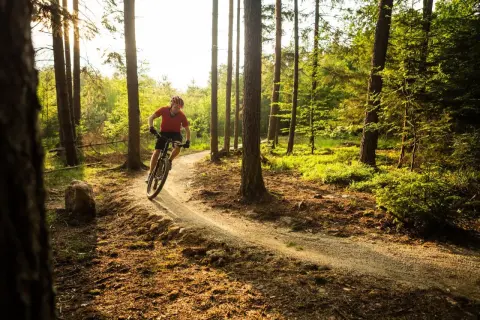Rowerzysta na ścieżce w lesie, odkrywa urokliwe trasy rowerowe Racibórz. Słońce przebija się przez drzewa, tworząc magiczną atmosferę.