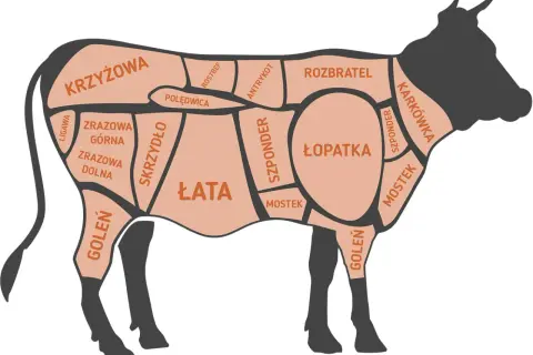 Wołowina co to za mięso? Poznaj jej pochodzenie i zastosowanie