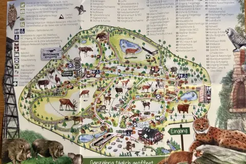 Wildpark Schwarze Berge: Infos, Preise, Öffnungszeiten & Tipps