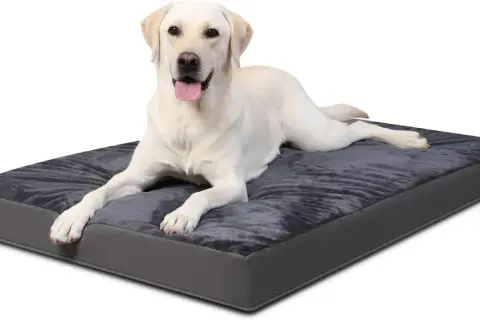 Un labrador blanc se repose sur un coussin ergonomique pour chien gris foncé, l'air heureux et détendu.