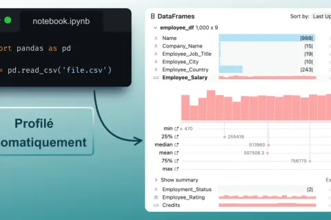 Le code Python utilise pandas pour charger un fichier CSV dans un DataFrame. Le DataFrame est ensuite profilé automatiquement, montrant des statistiques et des visualisations pour les données.