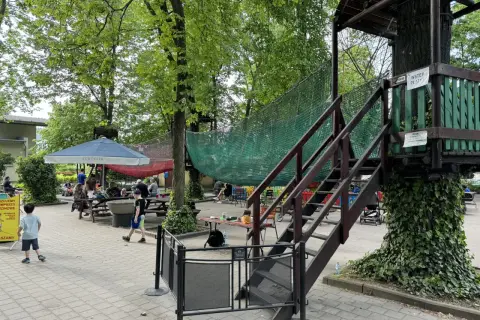 Park linowy Poznań dla dzieci: Który wybrać? Porównanie ofert