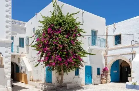 Tunezja Djerba czy jest bezpiecznie? Oto, co musisz wiedzieć