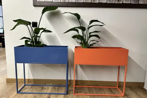 Jaki kwietnik do salonu? Wybierz idealny: style, materiały, porady