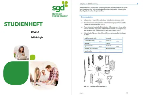 Studienheft Zellbiologie für das Fachabi Fernstudium. Übungsaufgaben zur Zellbiologie mit Abbildungen.
