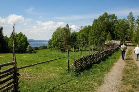 Två vandrare följer en grusväg längs en gärdesgård på St. Olavsleden. En sjö syns i bakgrunden.