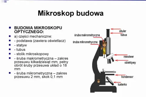 Do czego służy stolik w mikroskopie? Odkryj jego kluczowe funkcje
