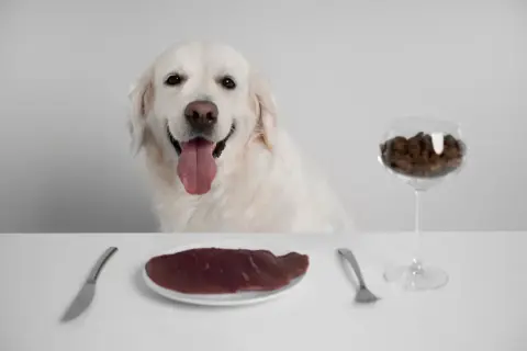 Uśmiechnięty pies czeka na posiłek. Na stole talerz z surową wątróbką, widelec, nóż i kieliszek z karmą. Czy pies może jeść wątróbkę?